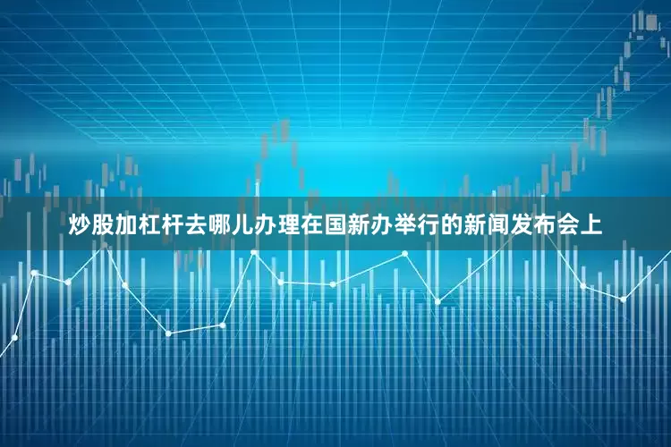 炒股加杠杆去哪儿办理在国新办举行的新闻发布会上